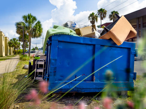 Best Electronics Removal Services  in Capitol View, SC