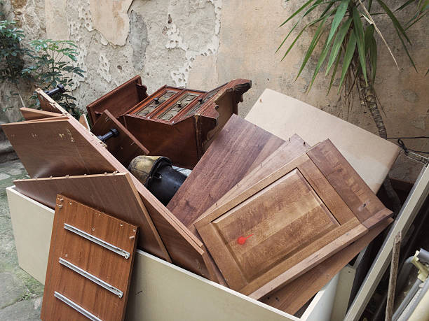 Best Household Junk Removal  in Capitol View, SC